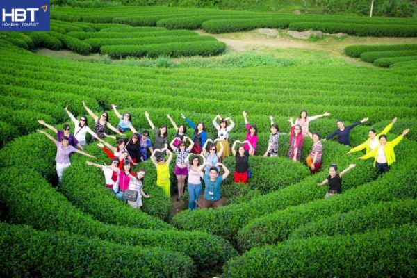 Đồi chè Trái Tim