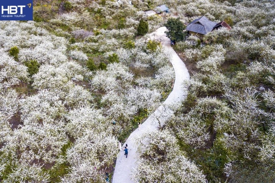 thung lũng mận Nà Ka