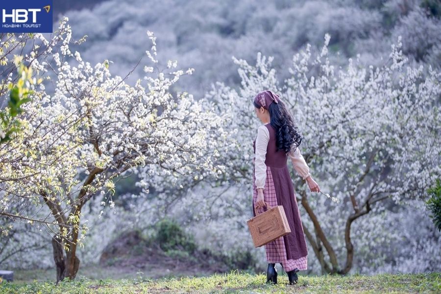 thung lũng mận Nà Ka