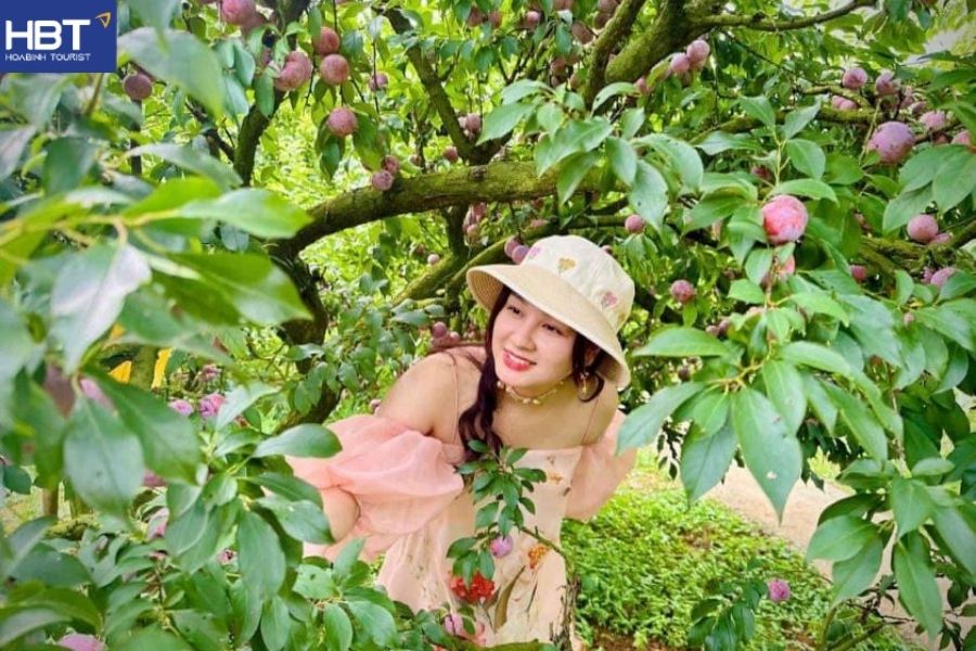 thung lũng mận Nà Ka