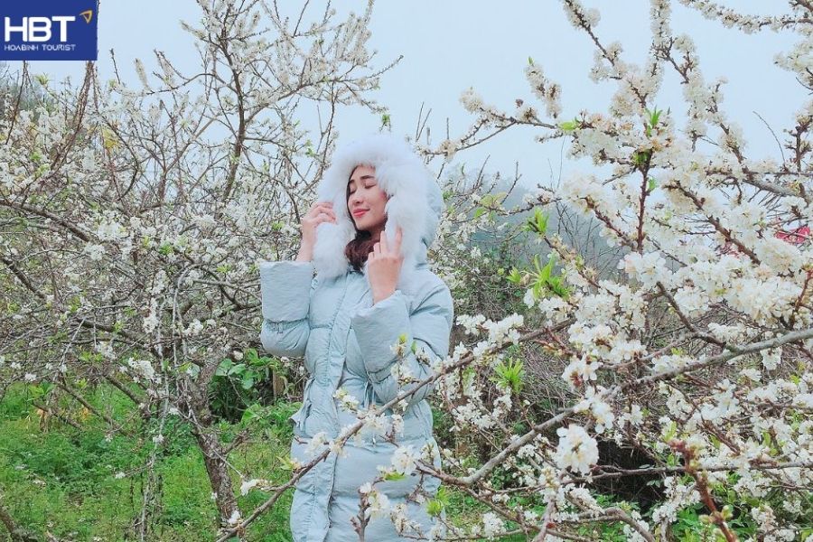 thung lũng mận Nà Ka