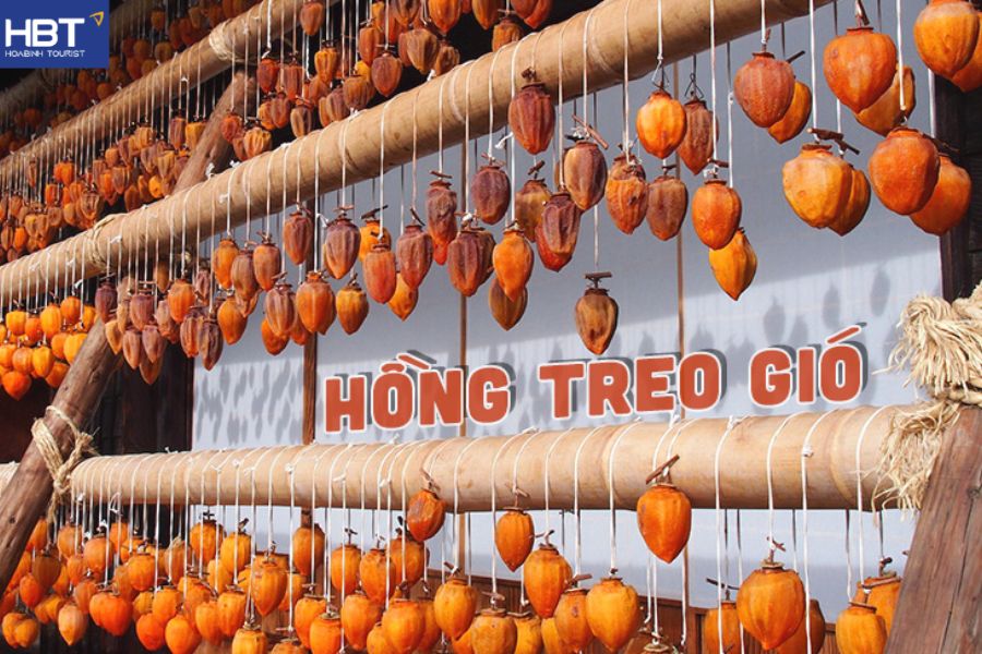 Vườn hồng mộc châu