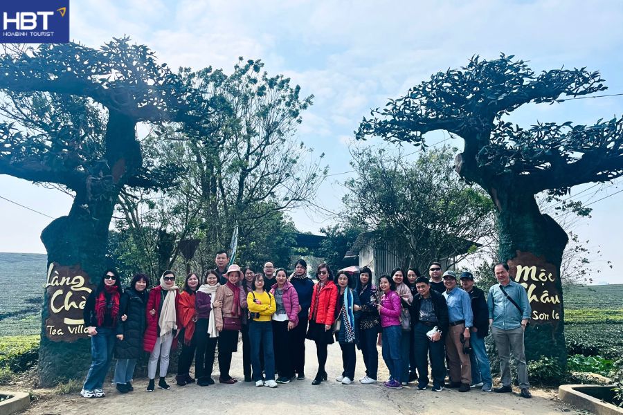 Vườn hồng mộc châu