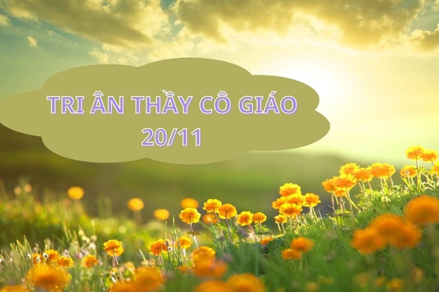 Background 20/11