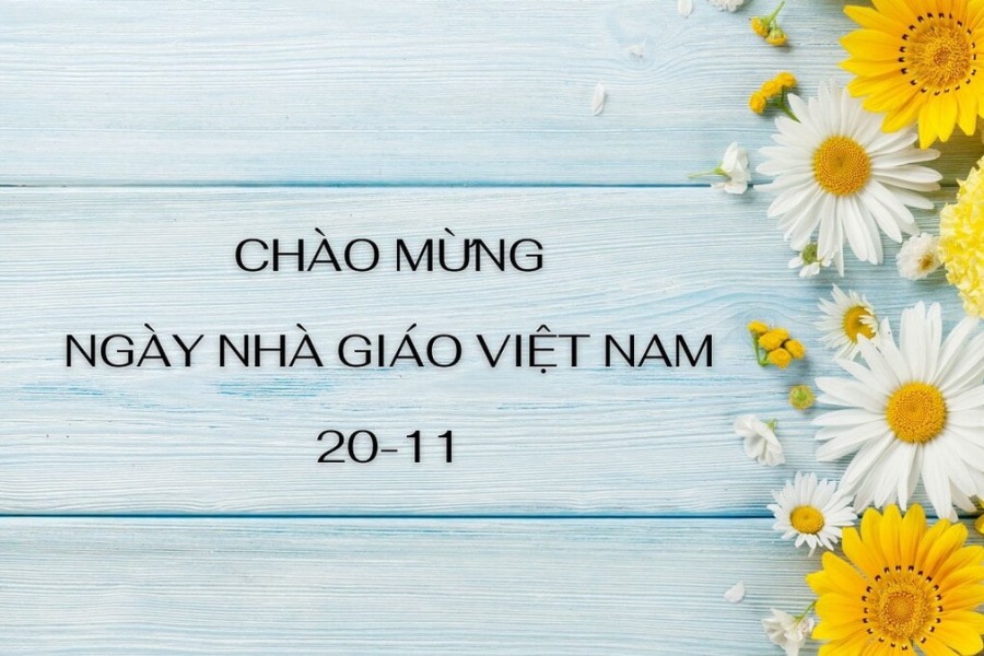 Background 20/11