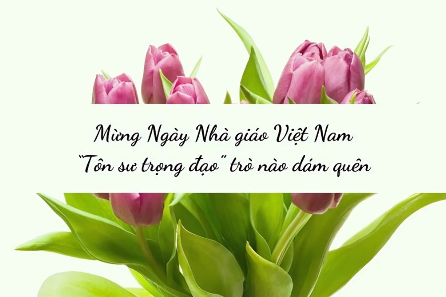 Background 20/11