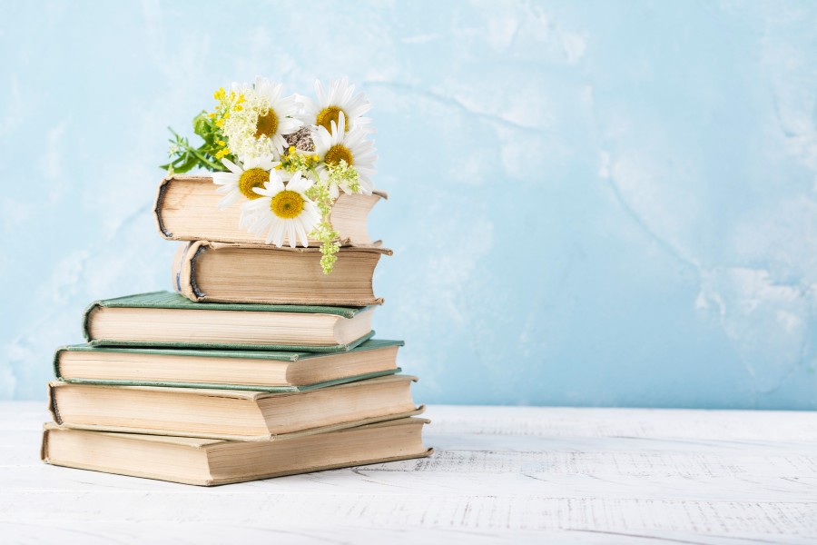 hình nền powerpoint 20/11