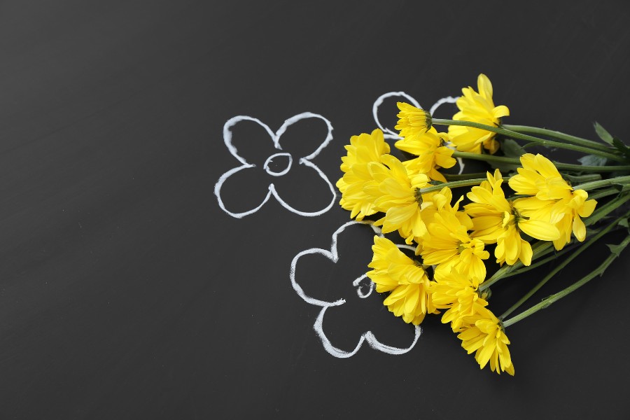 hình nền powerpoint 20/11