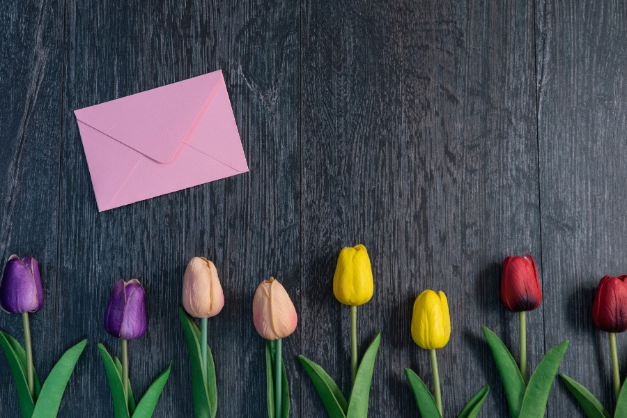 hình nền powerpoint 20/11